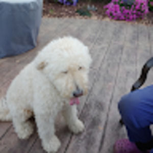 Meet your Posher, Leeann